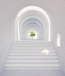 a set of white stairs leading up to a green plant